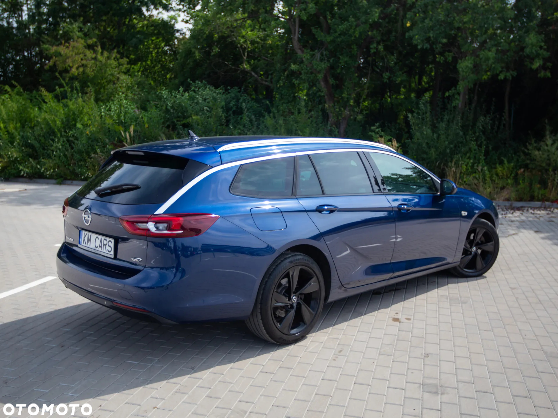 Opel Insignia 2.0 CDTI Exclusive S&S - 13