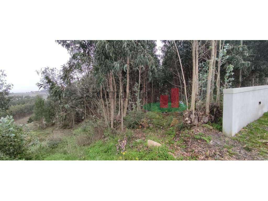Terreno - Casal das Freiras - Grande imagem: 3/12