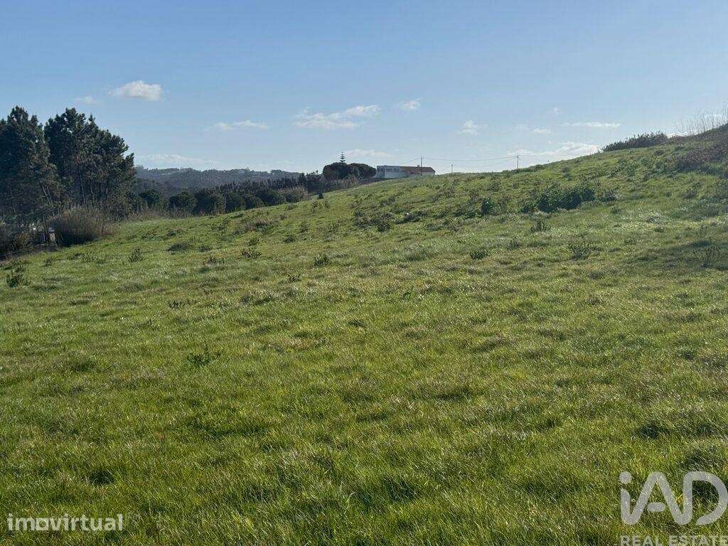 Terreno para construção em Alfeizerão - Grande imagem: 4/12