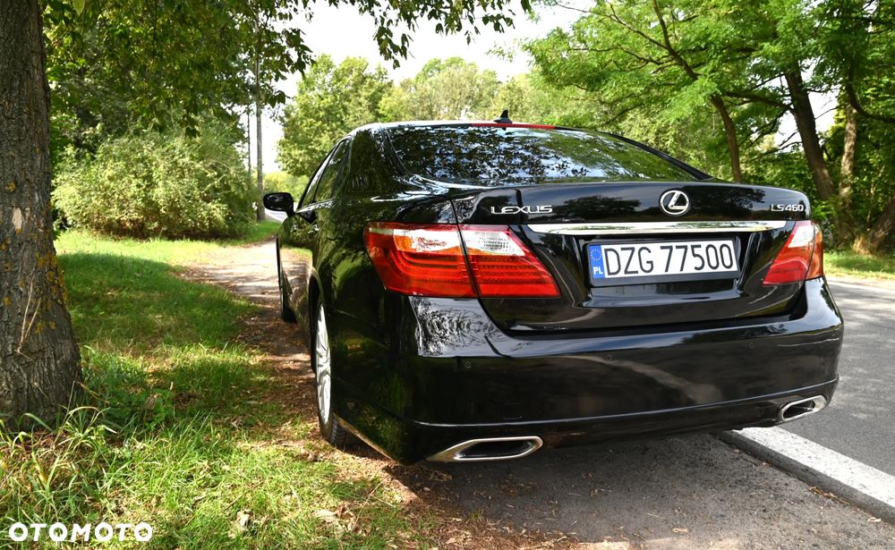 Lexus LS - 19