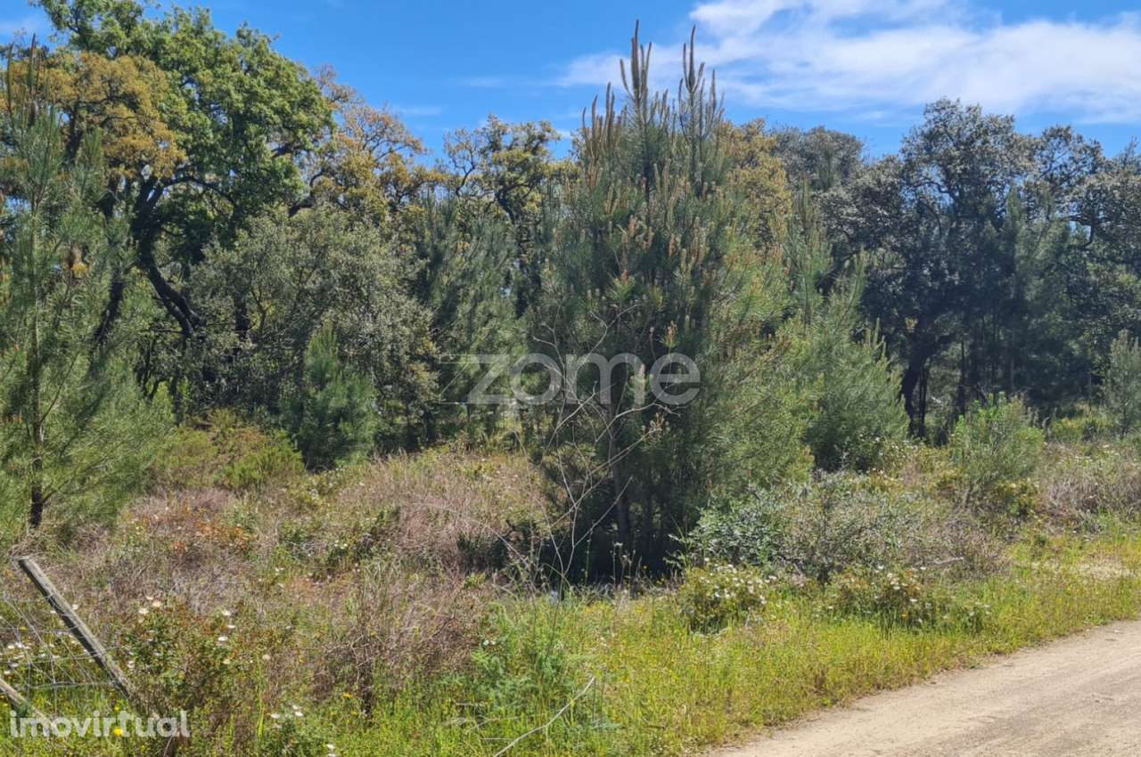 Terreno Monte do Lagarto | Lagoinha | Palmela - Grande imagem: 4/9