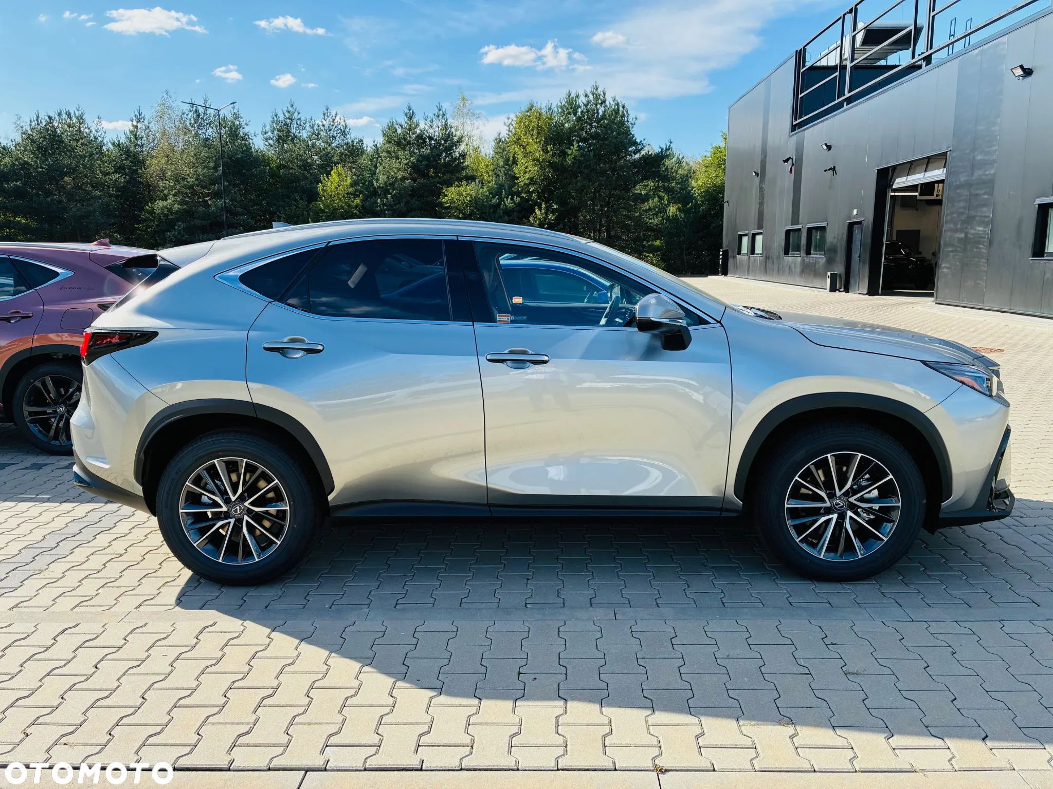 Lexus NX 350h Prestige 2WD - 4