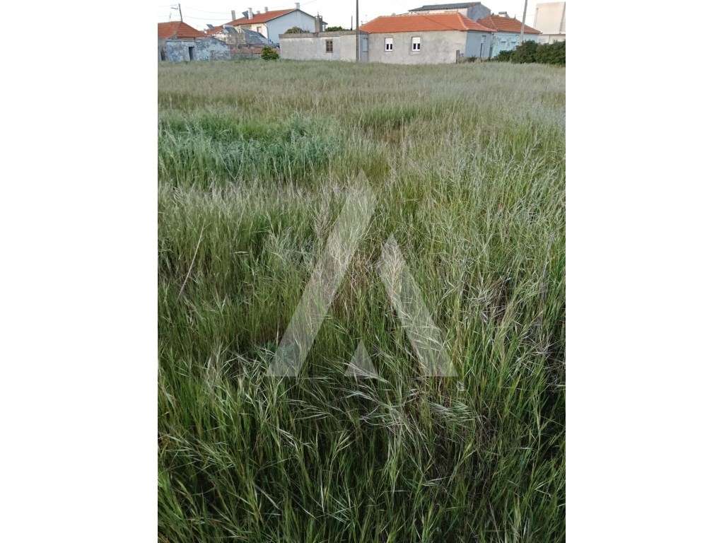 Prédio misto composto por moradia antiga e terreno! - Grande imagem: 5/6