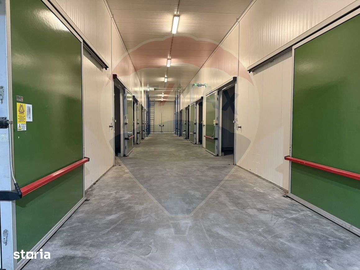 Ferma agro-industrială – 43 ha Adunații Copaceni - Imagine principală: 3/20