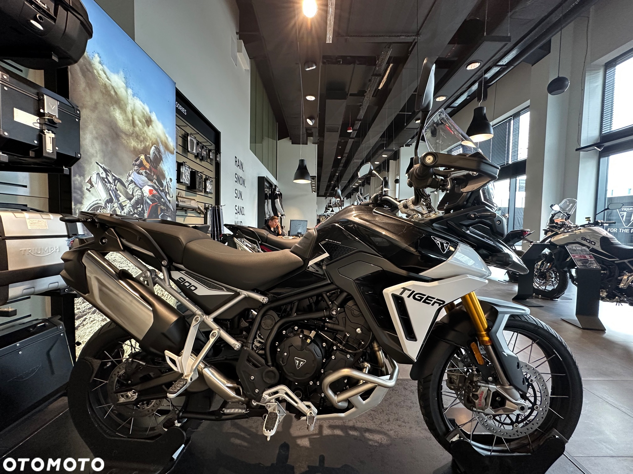 Triumph Tiger - 5