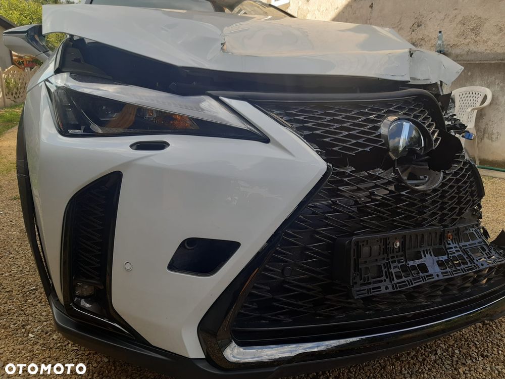 Lexus UX 250h F SPORT - 16