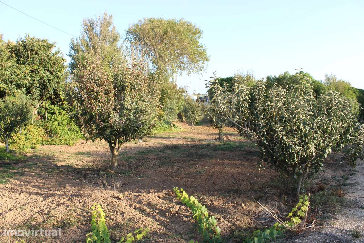 Terreno para Moradia T4 com Projeto Aprovado e Anexos | Lourinhã - Grande imagem: 4/16