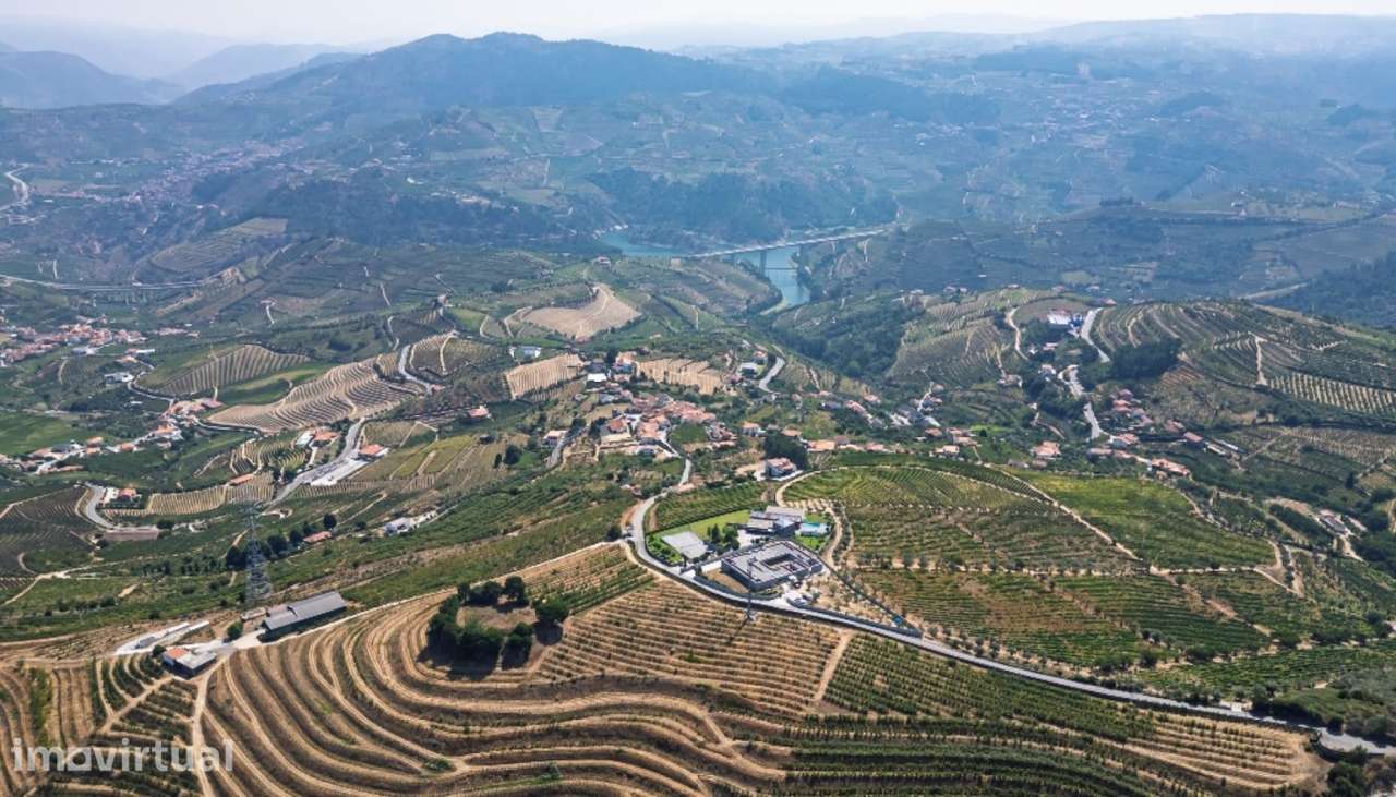Quinta para venda em Lamego na região do Douro - Grande imagem: 2/25