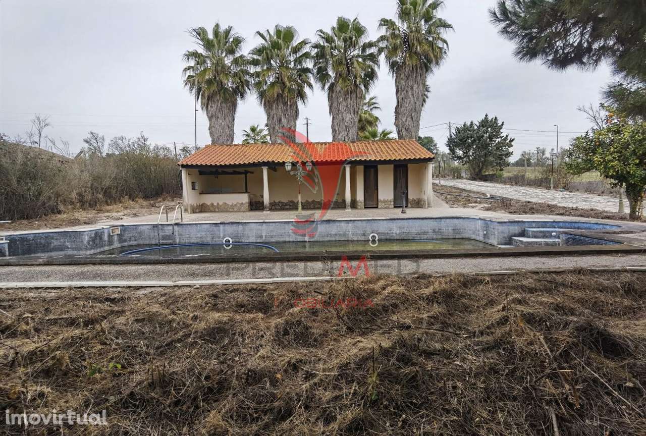 Quinta dos nossos sonhos, localizada na Cidade do Cartaxo - Grande imagem: 5/40