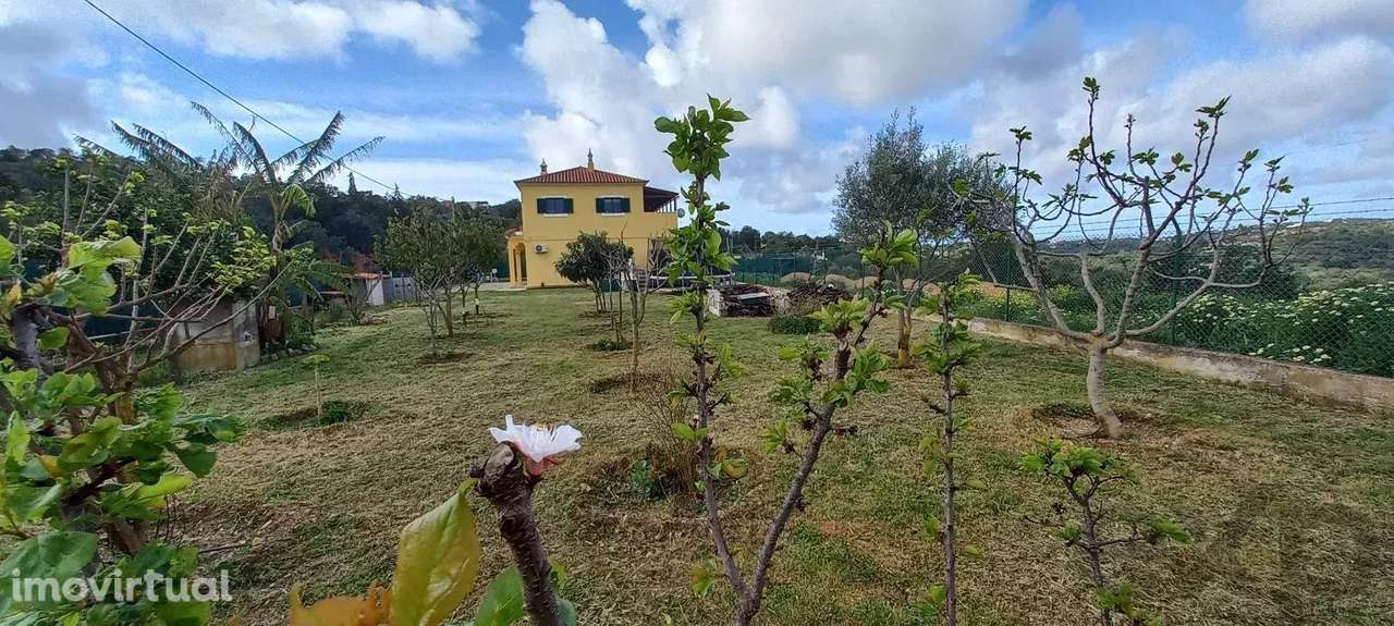 Moradia com comercio e terreno, localização estratégica - Grande imagem: 4/44