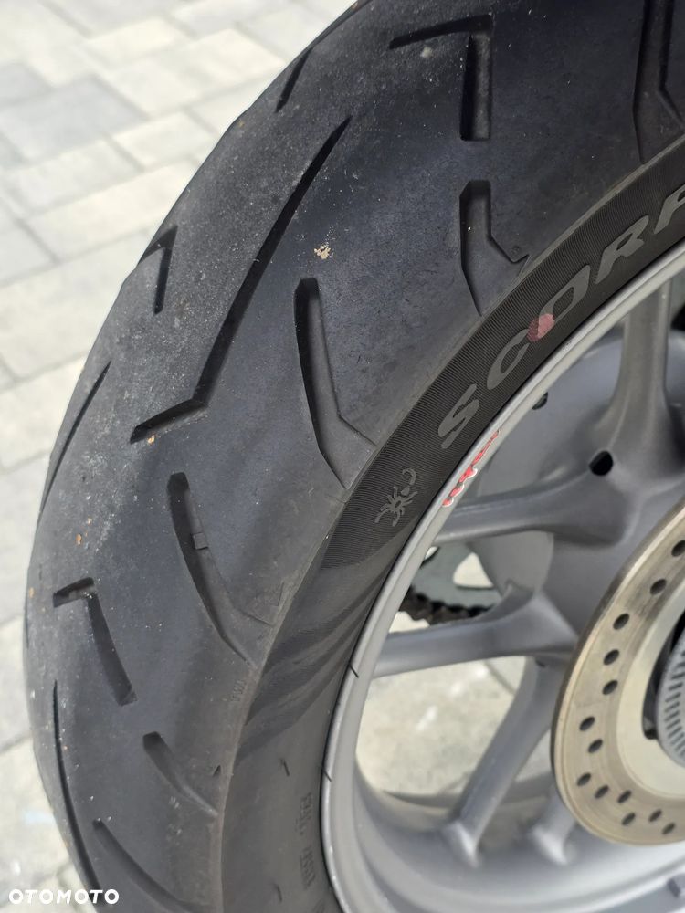 Triumph Tiger - 19