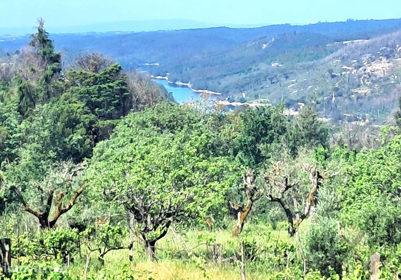 Vistas para o Mondego | 1 Hectare | Ruína em Granito | Um Refúgio de V - Grande imagem: 3/43