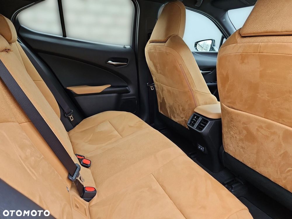 Lexus UX - 24