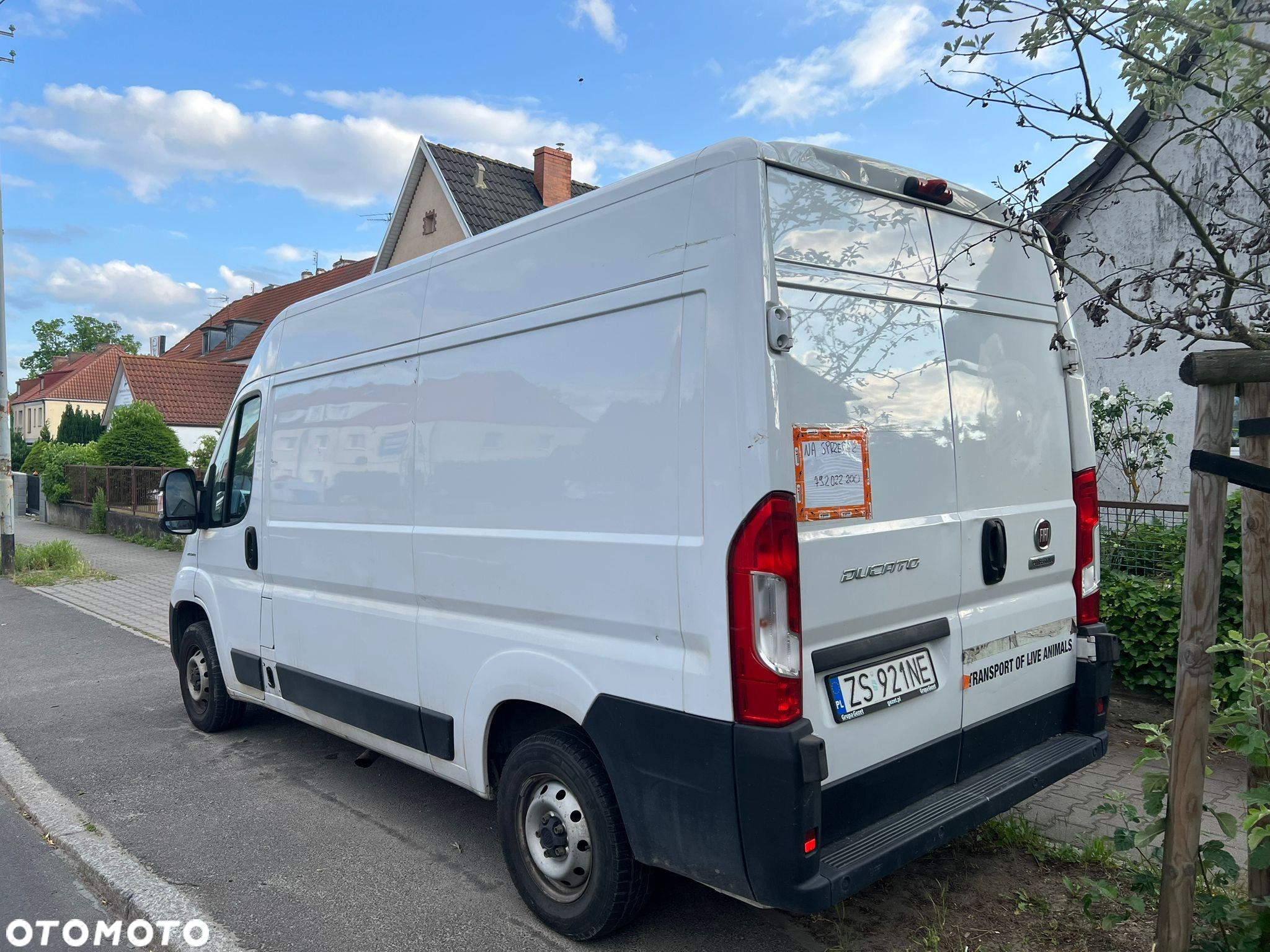 Fiat Ducato - 6