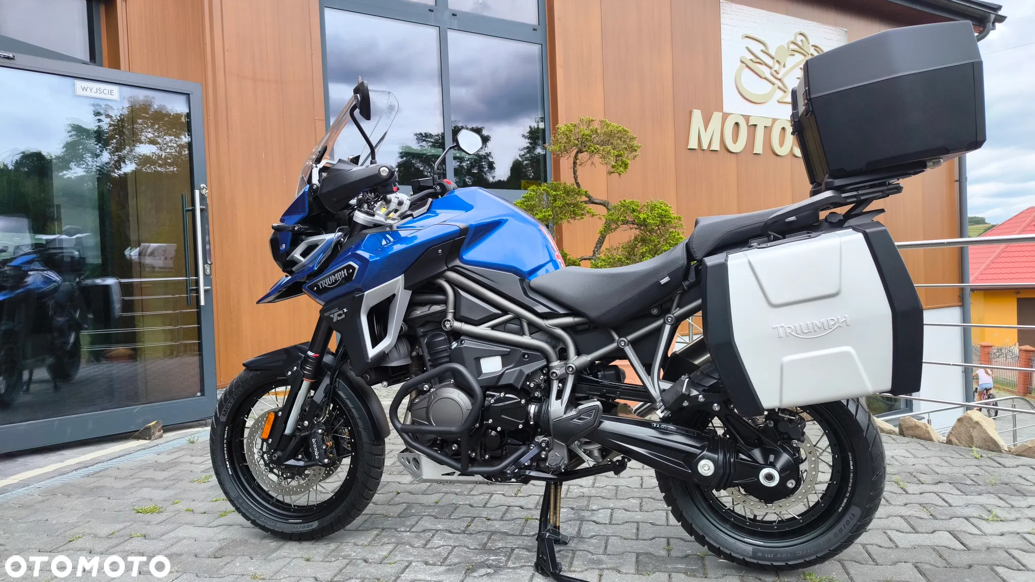 Triumph Tiger - 5
