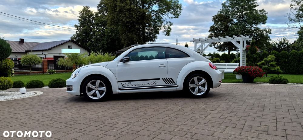 Volkswagen Beetle - 6