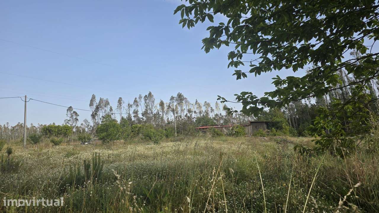 Terreno Industrial com Grande Potencial em Garcia, Marinha Grande | 8 - Grande imagem: 4/15