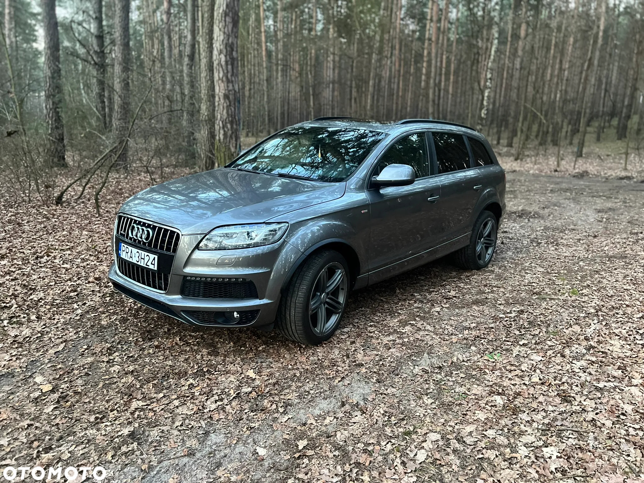 Audi Q7 3.0 TDI DPF Quattro Tiptronic - 10