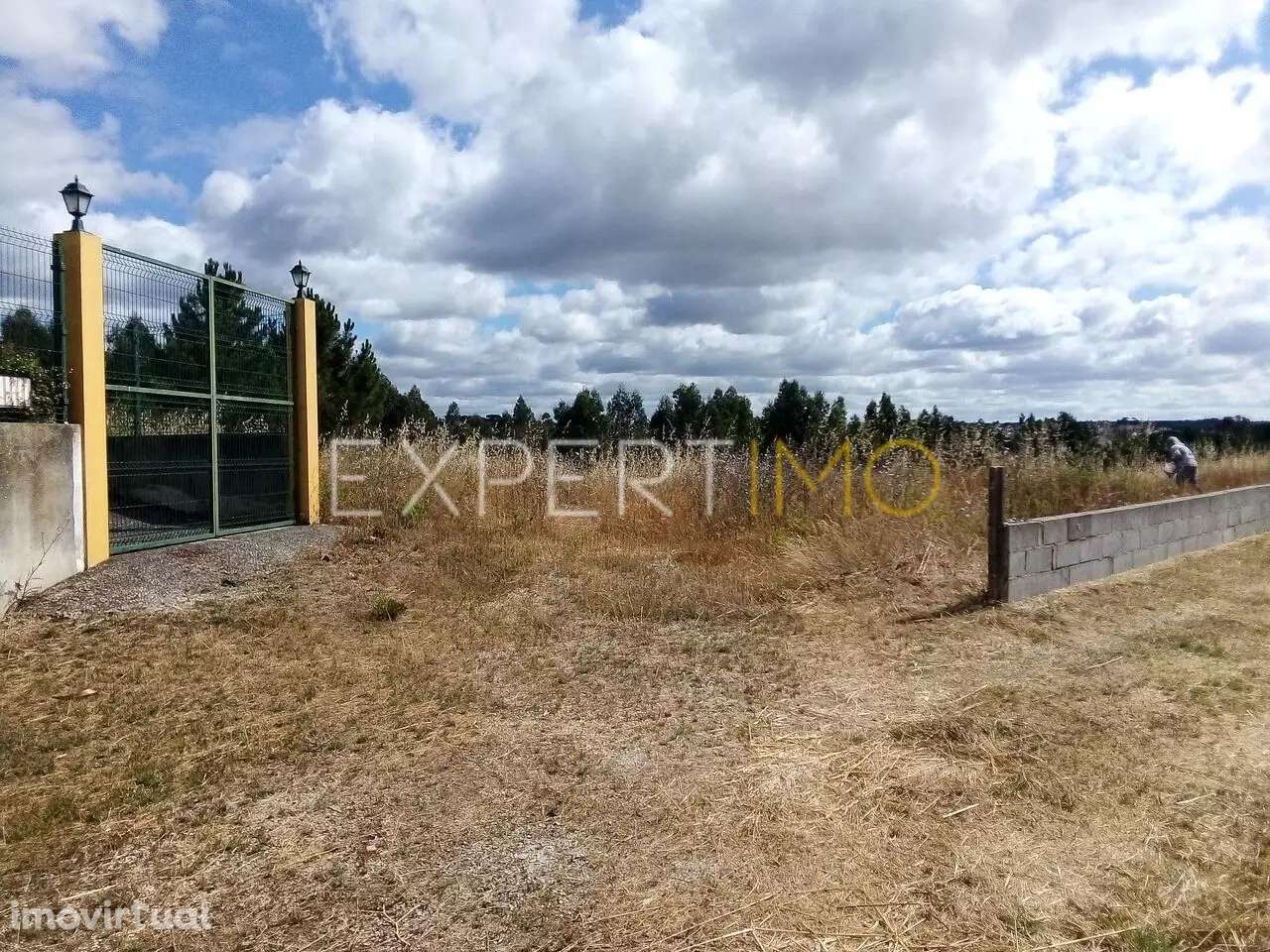 Terreno Manique do Intendente Azambuja com 2,6 hectares - Grande imagem: 2/15