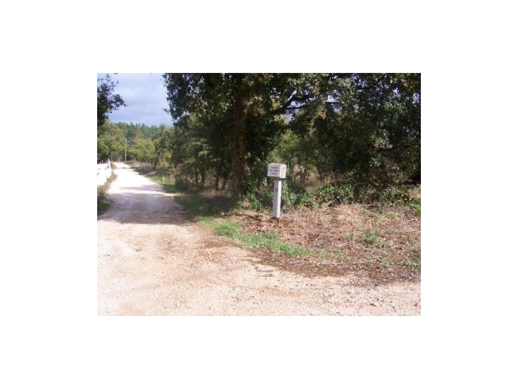 Terreno para construção Azoio -Pedreiras - Grande imagem: 2/5