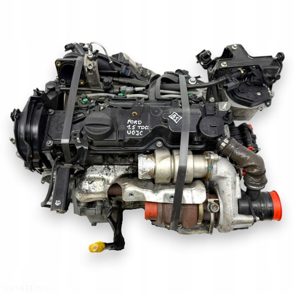 SILNIK UGJC Ford Fiesta VII MK7 B-Max B Max 1.5 TDCI 75KM diesel kompletny - 3