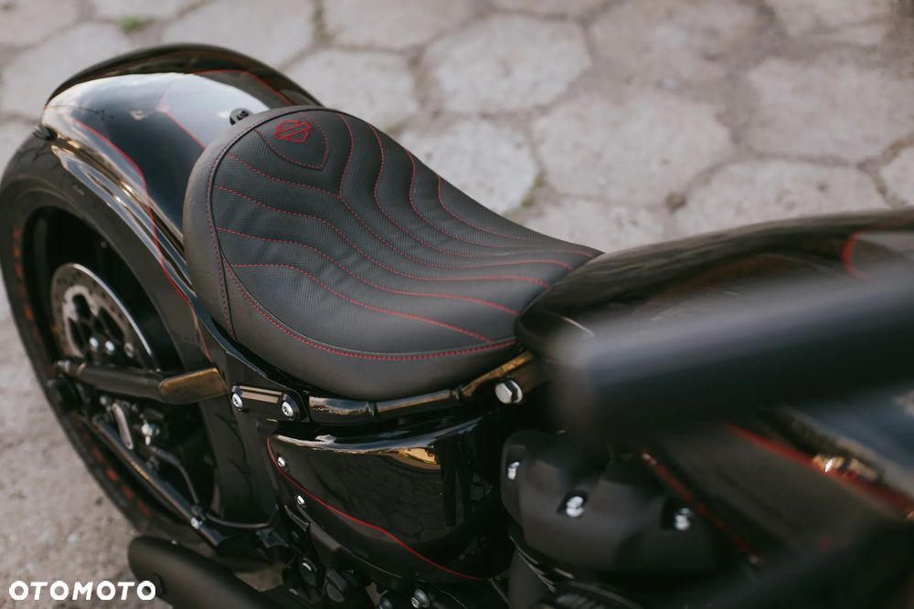 Harley-Davidson Softail Custom - 27