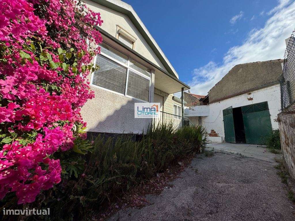 Moradia para renovar + 2 terrenos agrícolas - Batalha - Grande imagem: 4/25