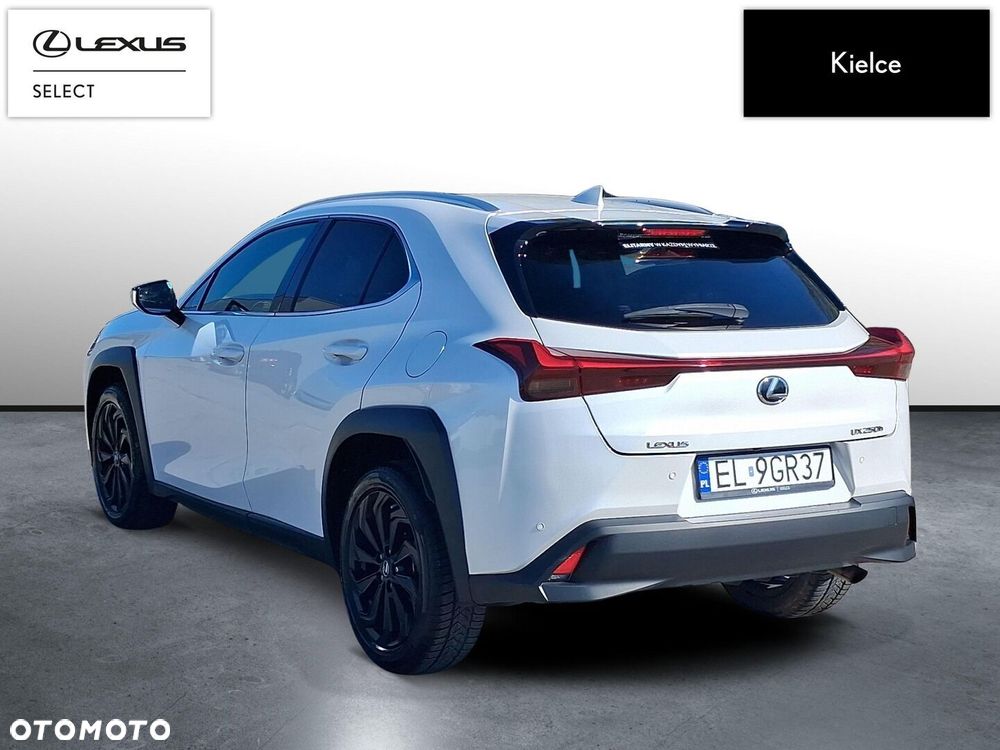 Lexus UX 250h GPF Business 2WD - 4