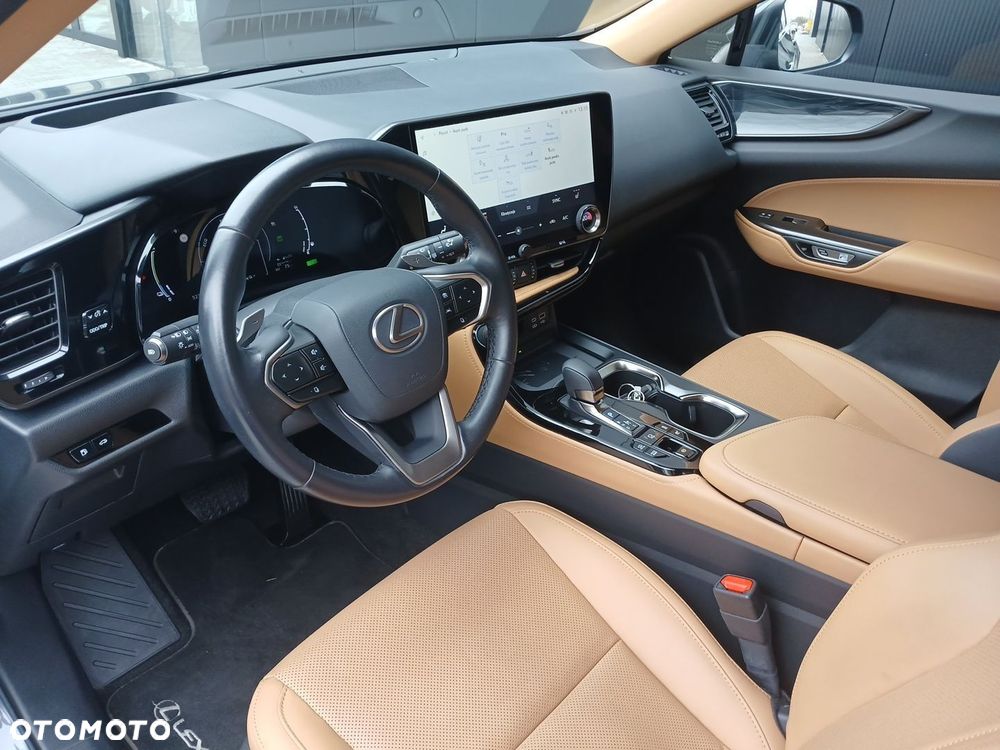 Lexus NX - 10