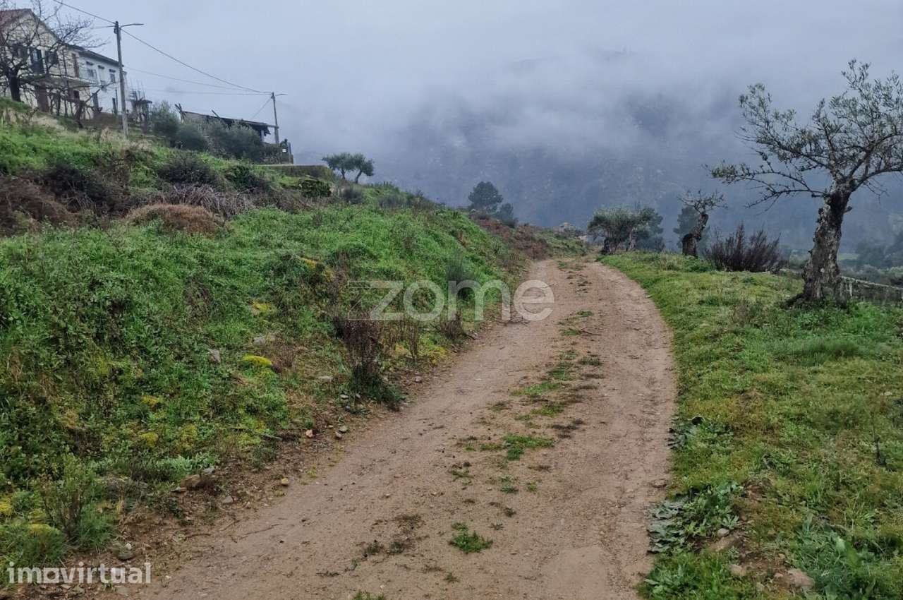 Terreno rustico , lugar do Plames, Murça - Grande imagem: 3/7
