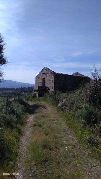 Arrenda-se Quinta Exclusiva 25ha | 1km margem de Rio Mondego - Grande imagem: 4/11