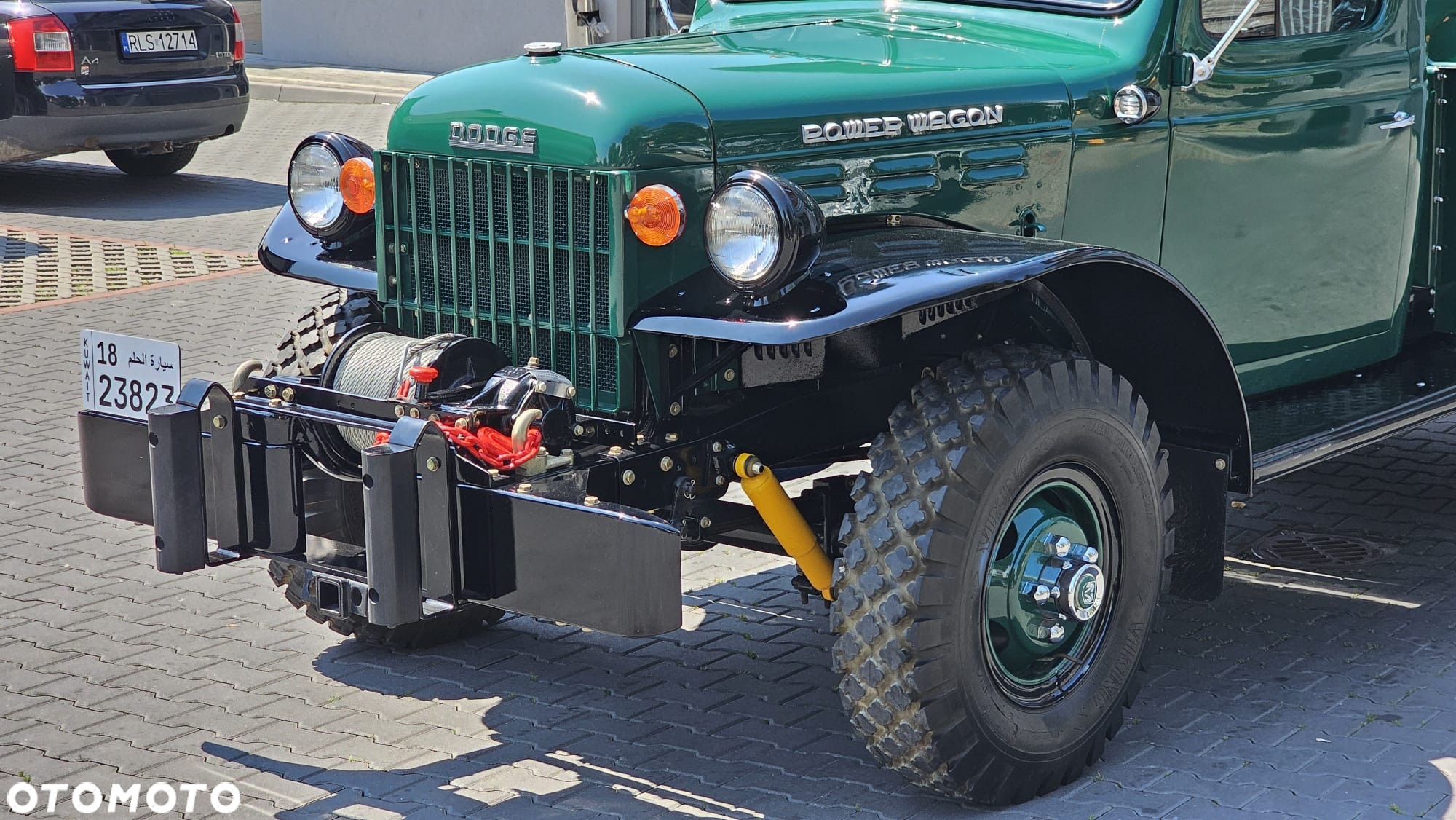 Dodge Inny - 10