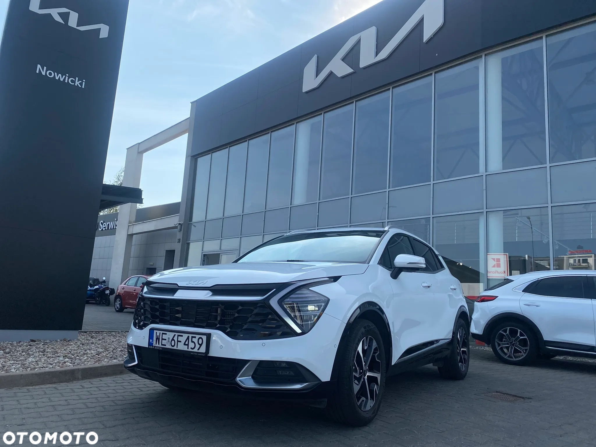 Kia Sportage 1.6 T-GDI HEV Business Line 4WD - 2