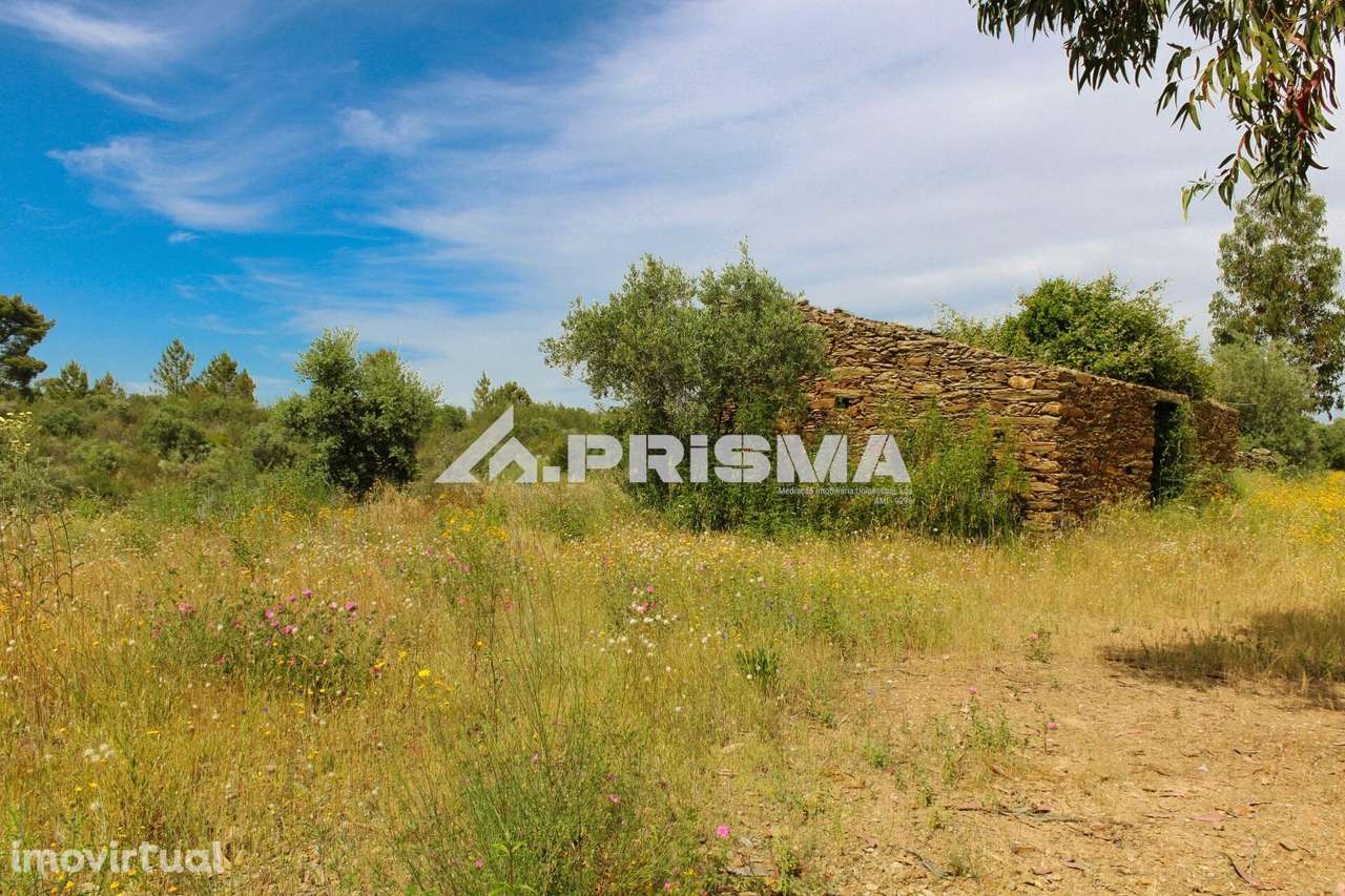 Quinta para Venda em União de Freguesias de Escalos de Baixo e Mata - Grande imagem: 5/18
