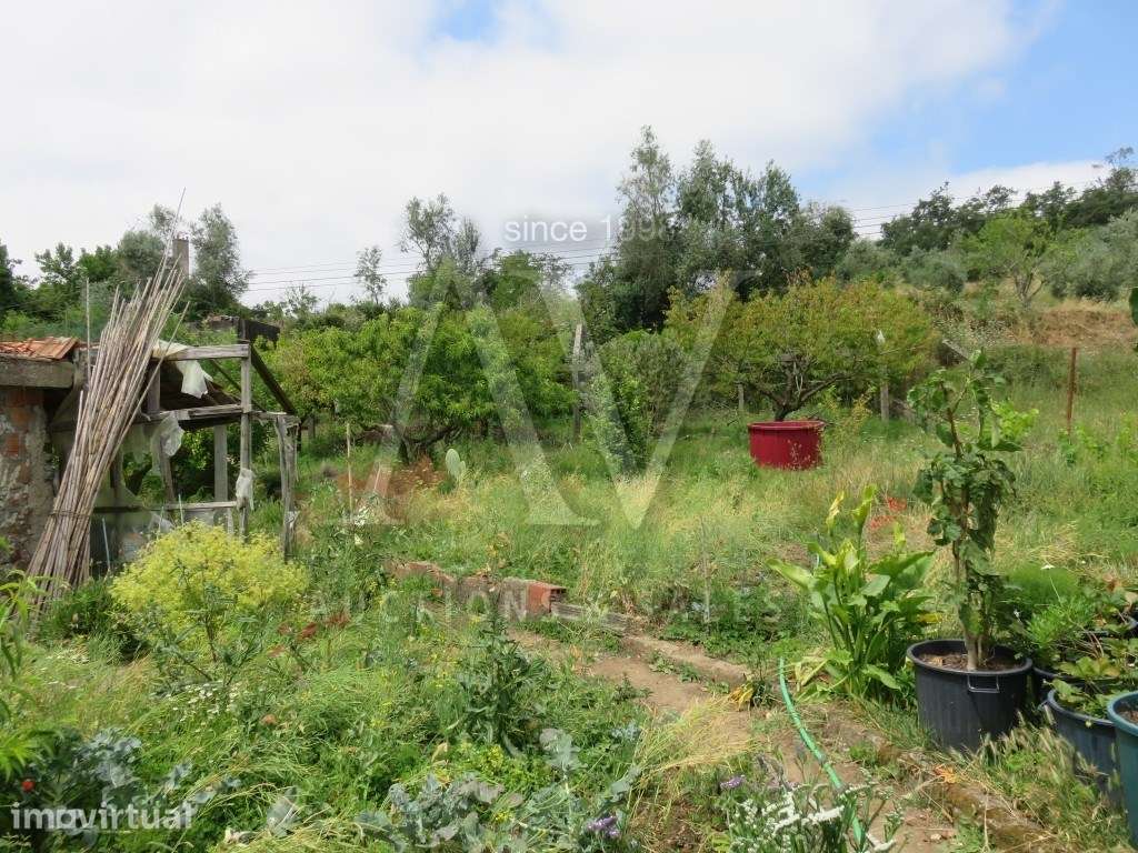 Casa de R/C e 1.º andar com Terrenos rústicos - SANTIAGO DE LITÉM -... - Grande imagem: 3/4