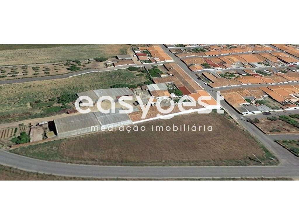 Terreno Rústico com 1890m2 localizado na aldeia de Jungeiros - Grande imagem: 2/2