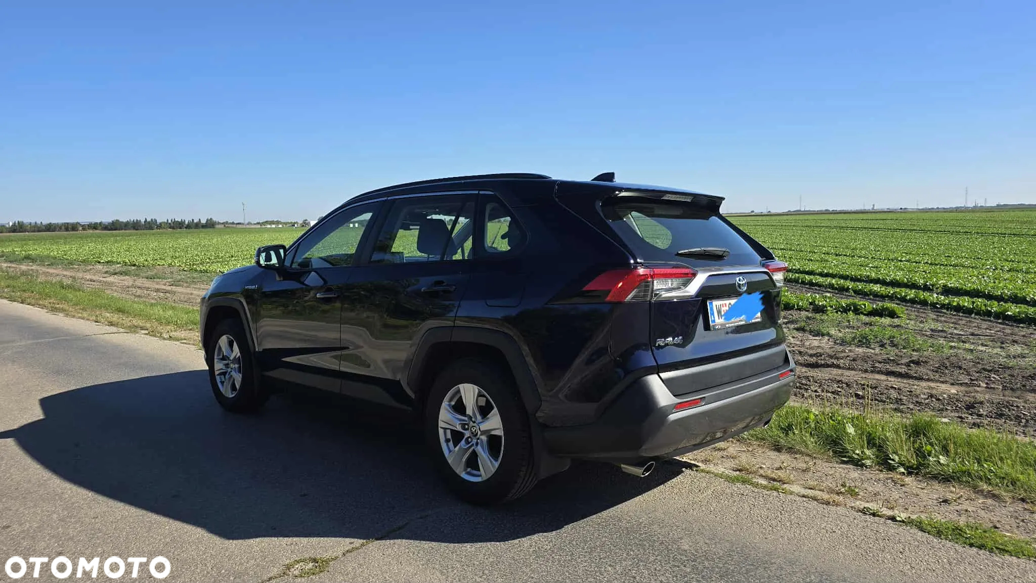 Toyota RAV4 2.5 Hybrid Executive 4x2 - 5