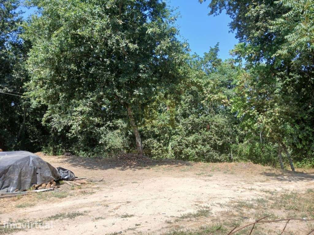 Terreno com 5.000 m² em Donim, Guimarães - Excelente Potencial - Grande imagem: 3/9