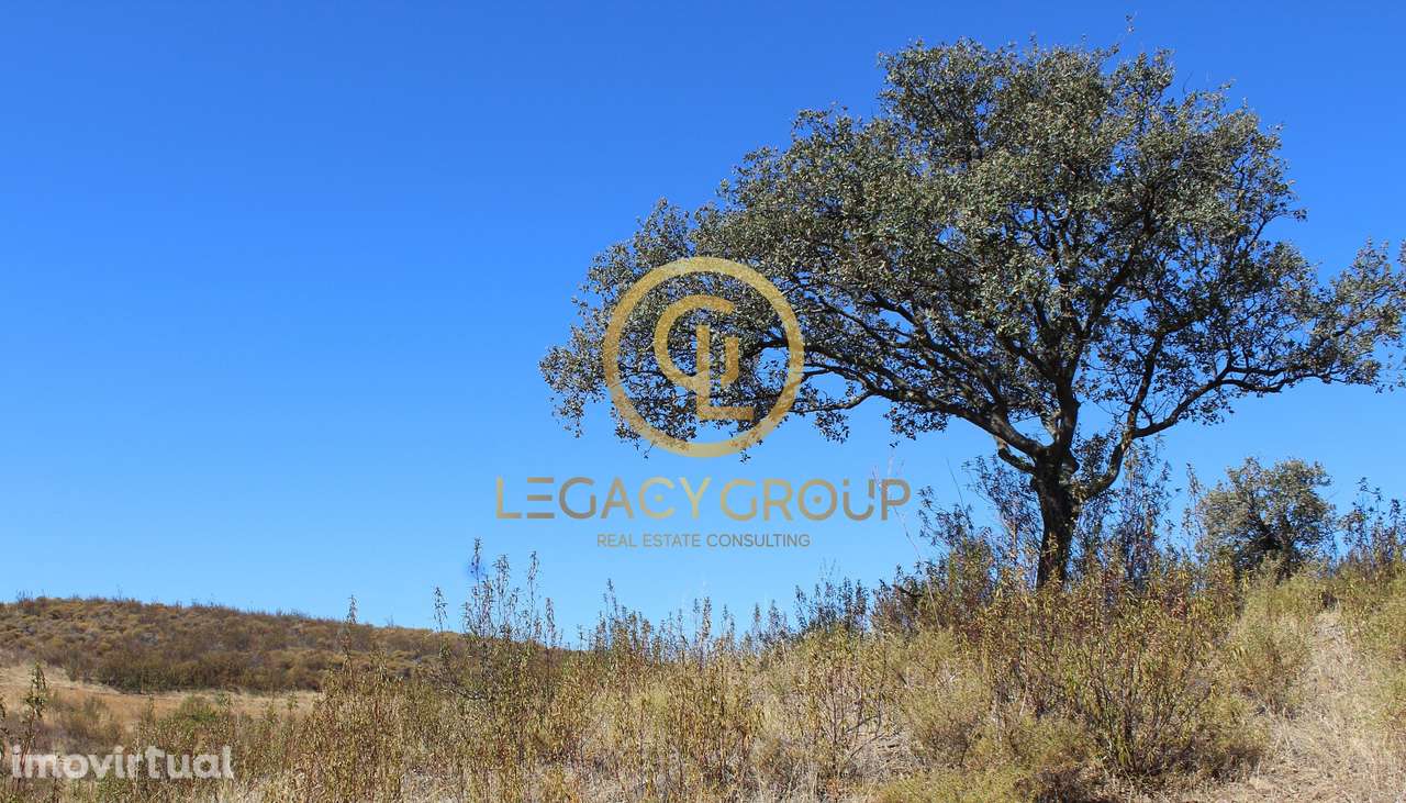 Terreno - Álamo - Alcoutim - Grande imagem: 4/10