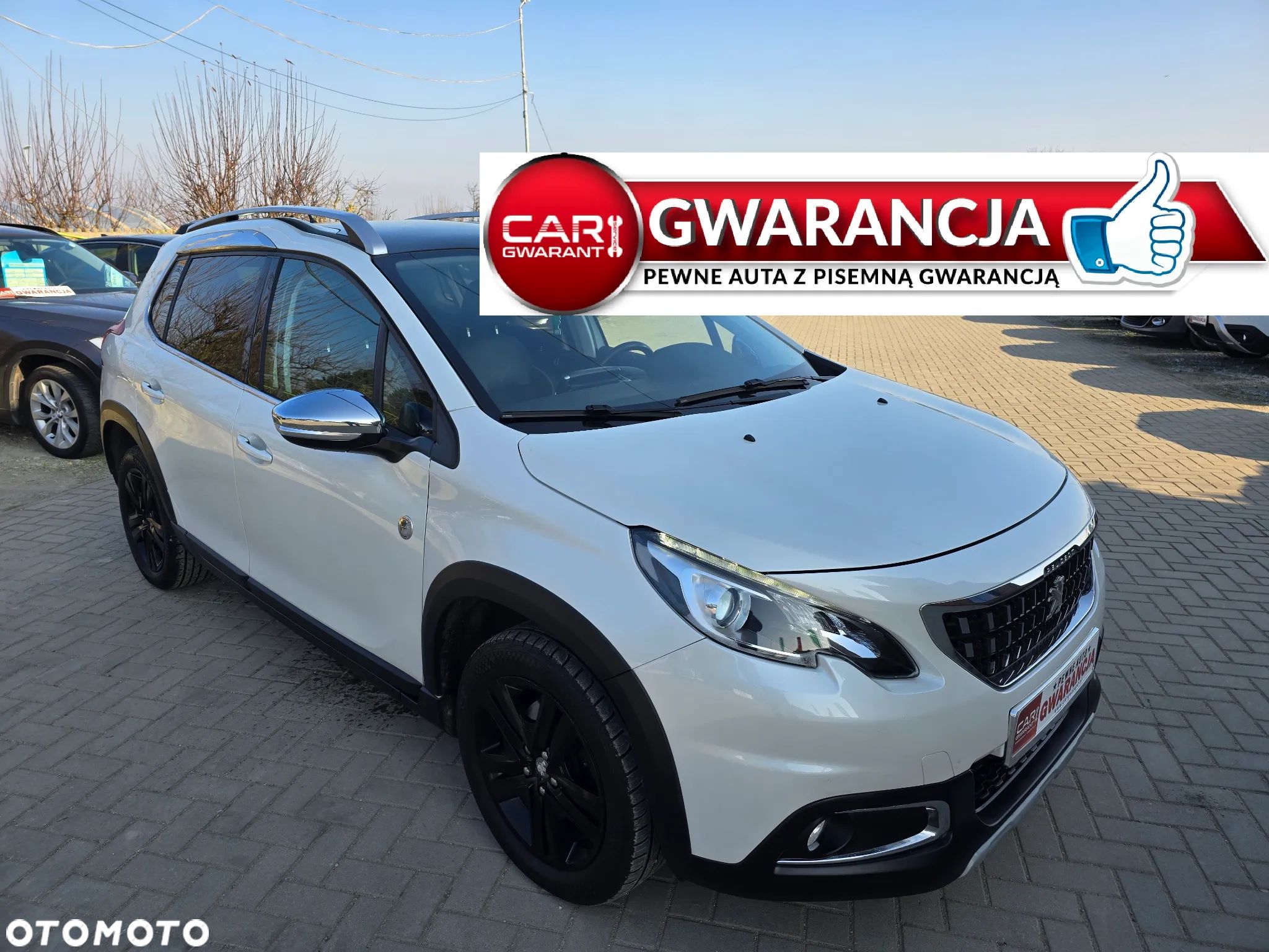 Peugeot 2008 - 1