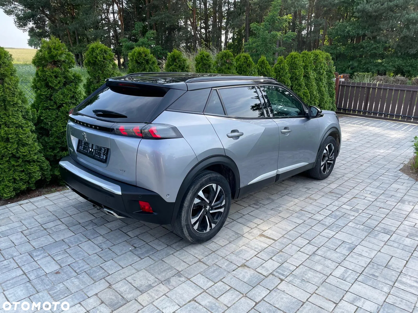 Peugeot 2008 1.5 BlueHDi GT S&S EAT8 - 2