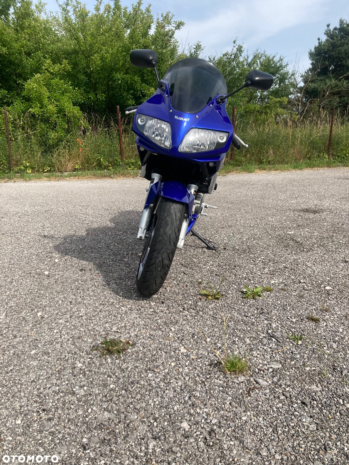 Suzuki SV - 10