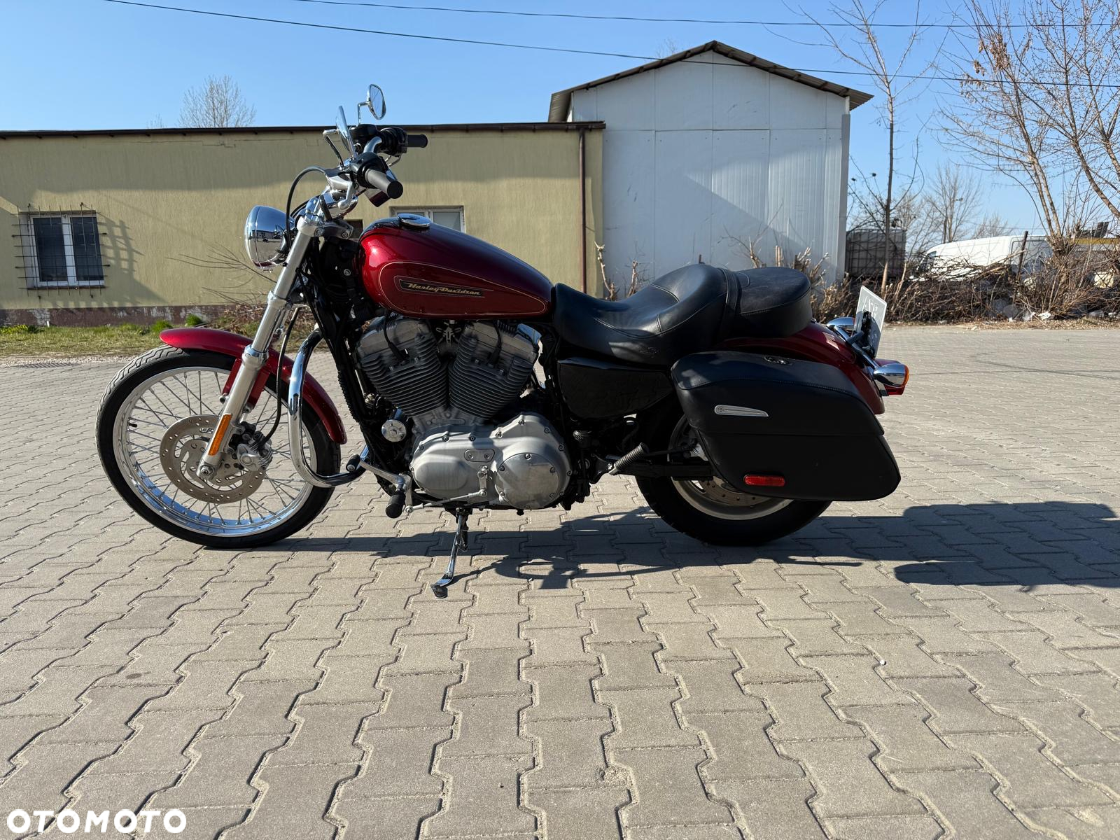 Harley-Davidson Sportster Custom 883C - 8