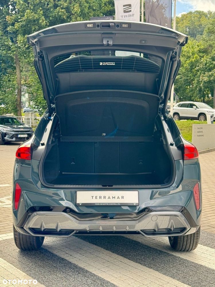 Cupra Terramar 2.0 TSI 4Drive DSG - 15