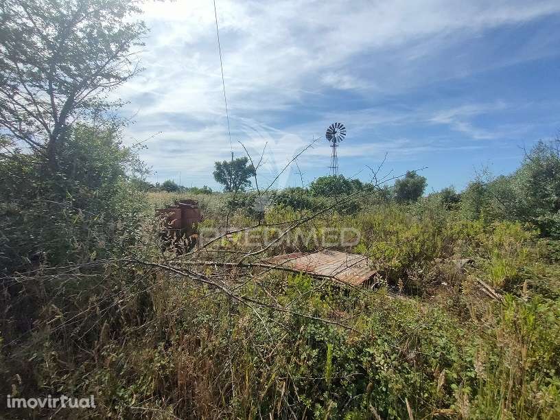 Terreno Rústico - Pai de Aviz, Tomar - Grande imagem: 3/9