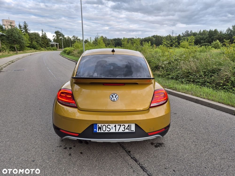Volkswagen Beetle - 10
