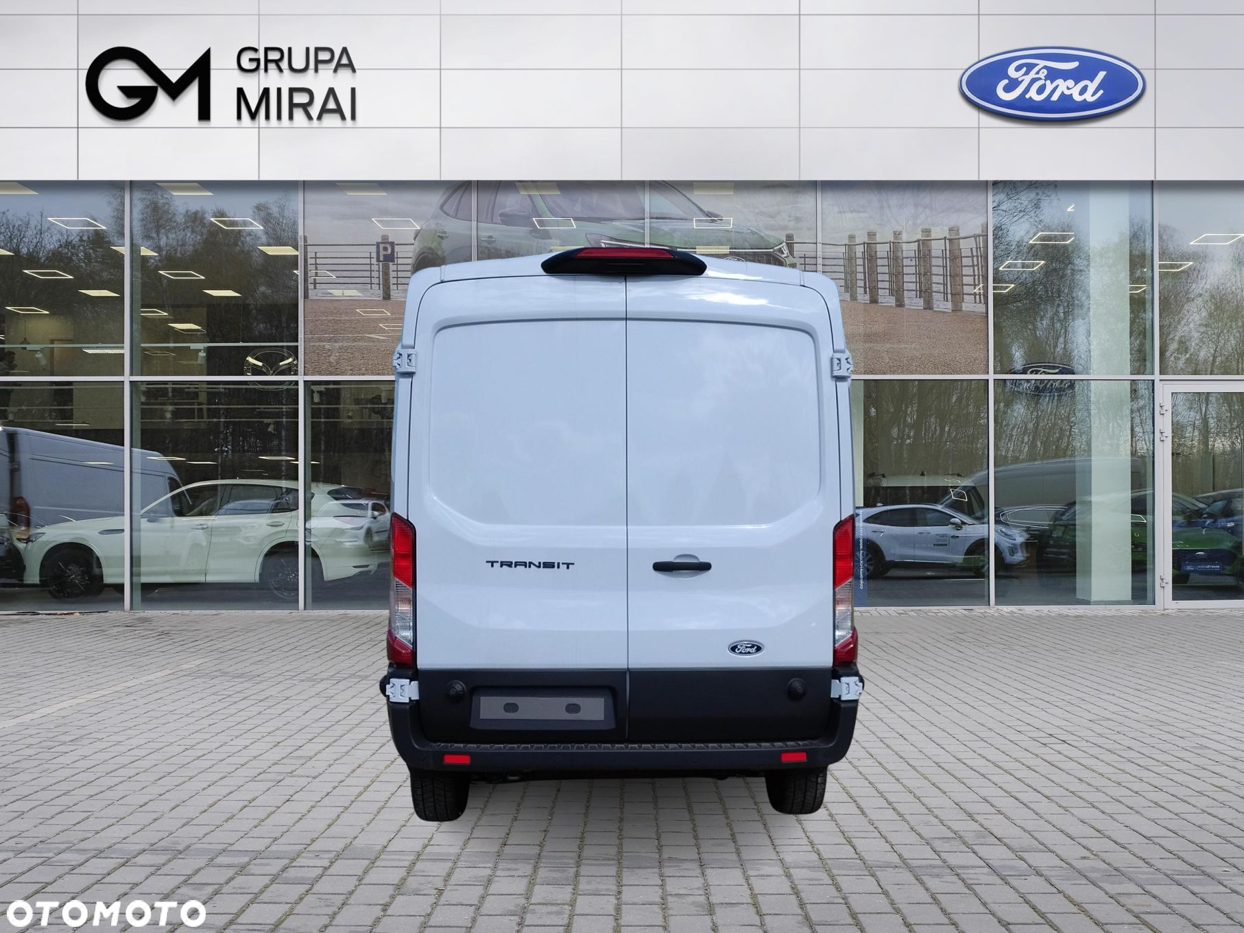 Ford transit - 4