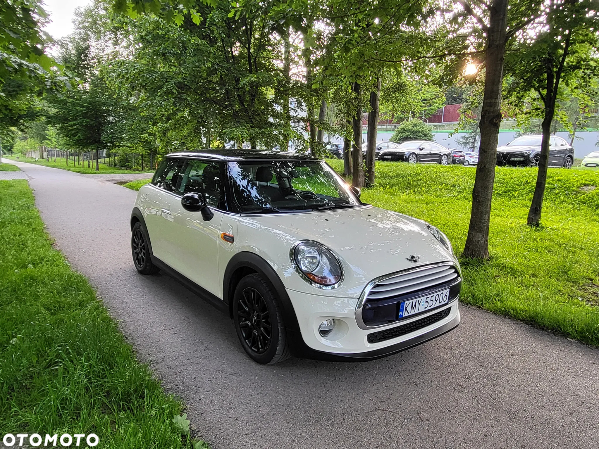 MINI Cooper Essential Trim - 6