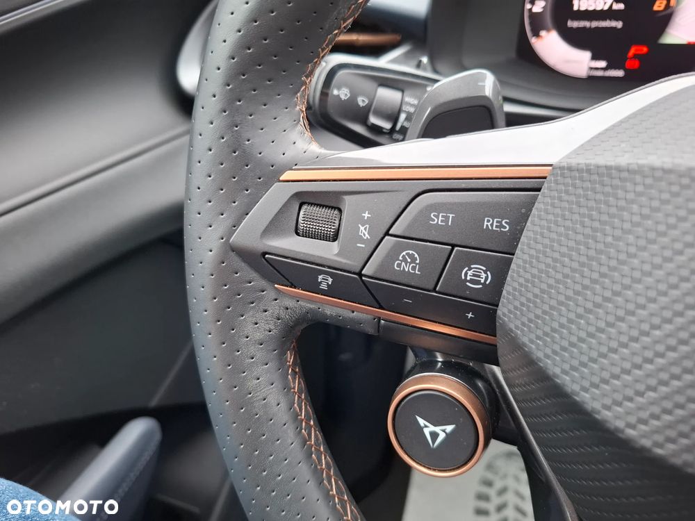 Cupra Terramar - 18