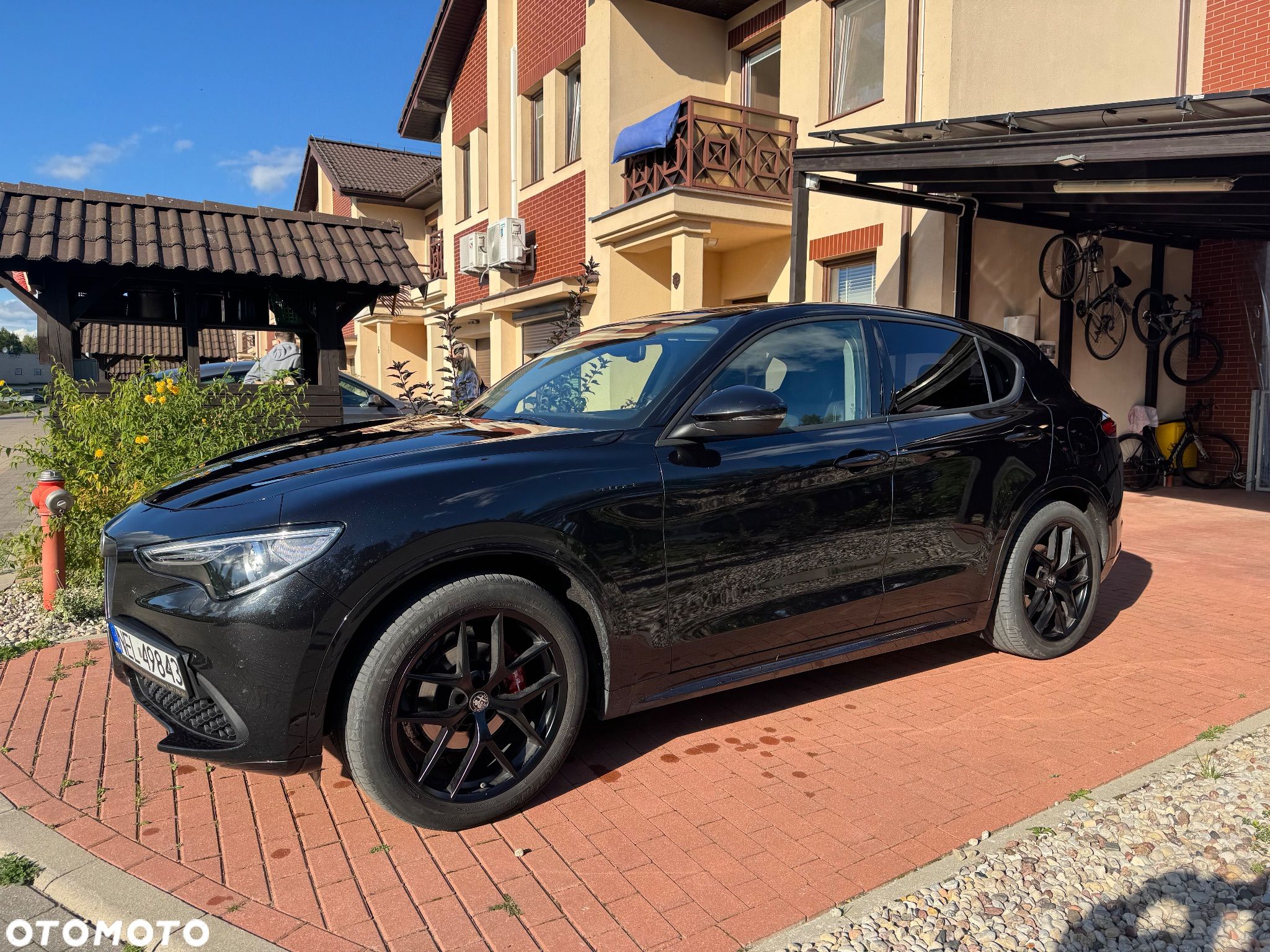 Alfa Romeo Stelvio 2.0 Turbo Veloce Q4 - 1
